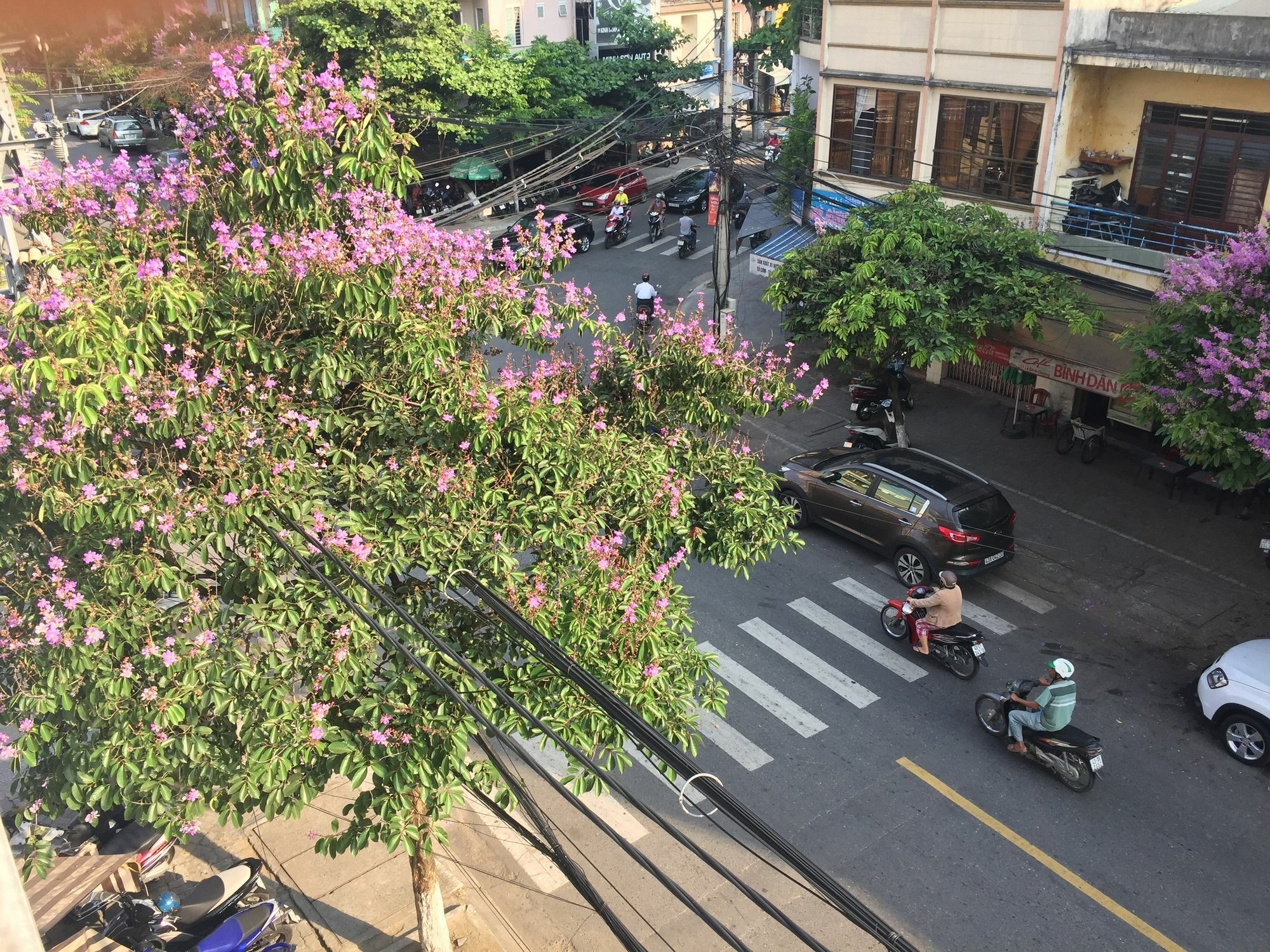 5D Upper Dorm Vandrehjem Da Nang Eksteriør billede