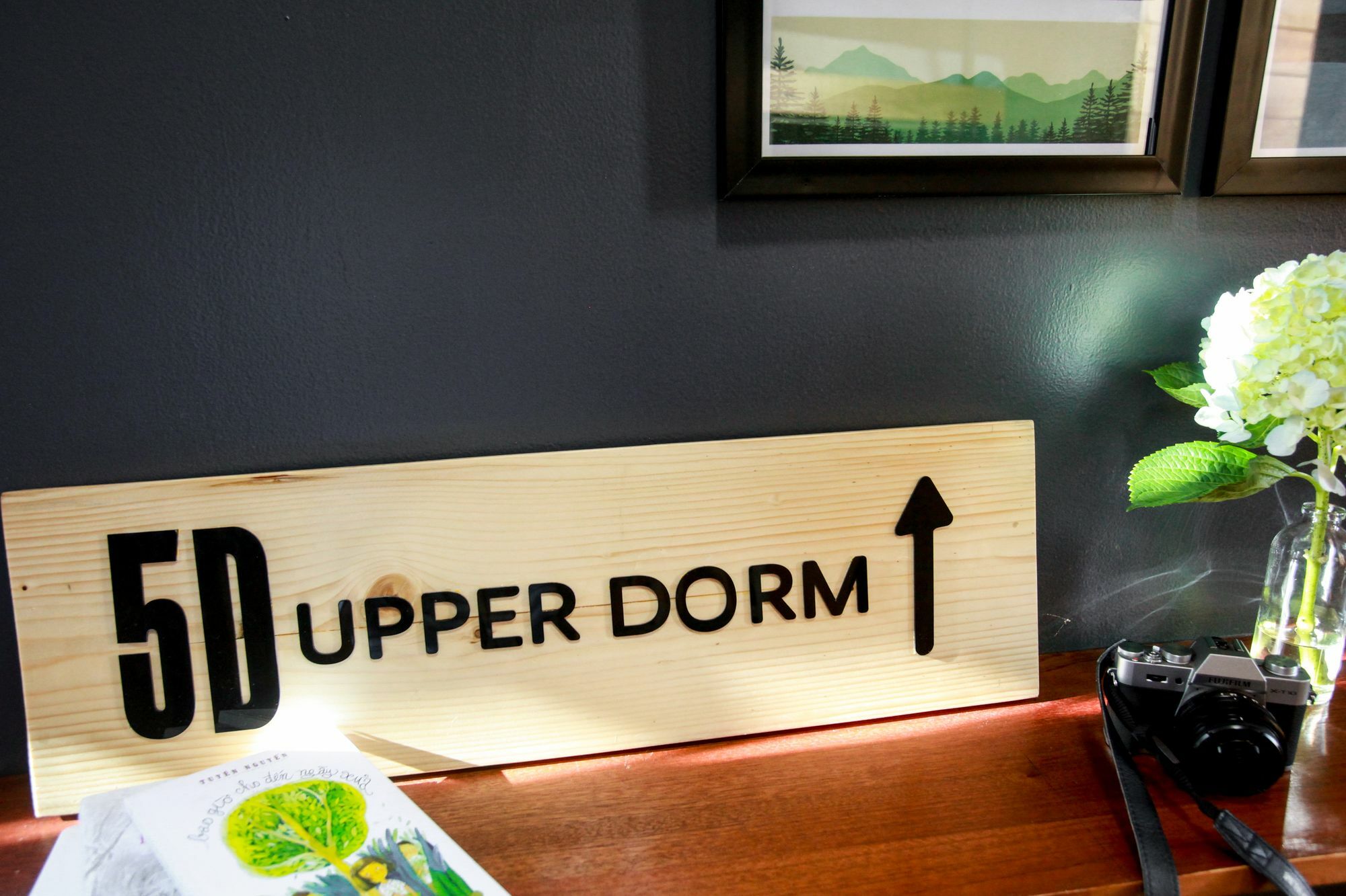 5D Upper Dorm Vandrehjem Da Nang Eksteriør billede